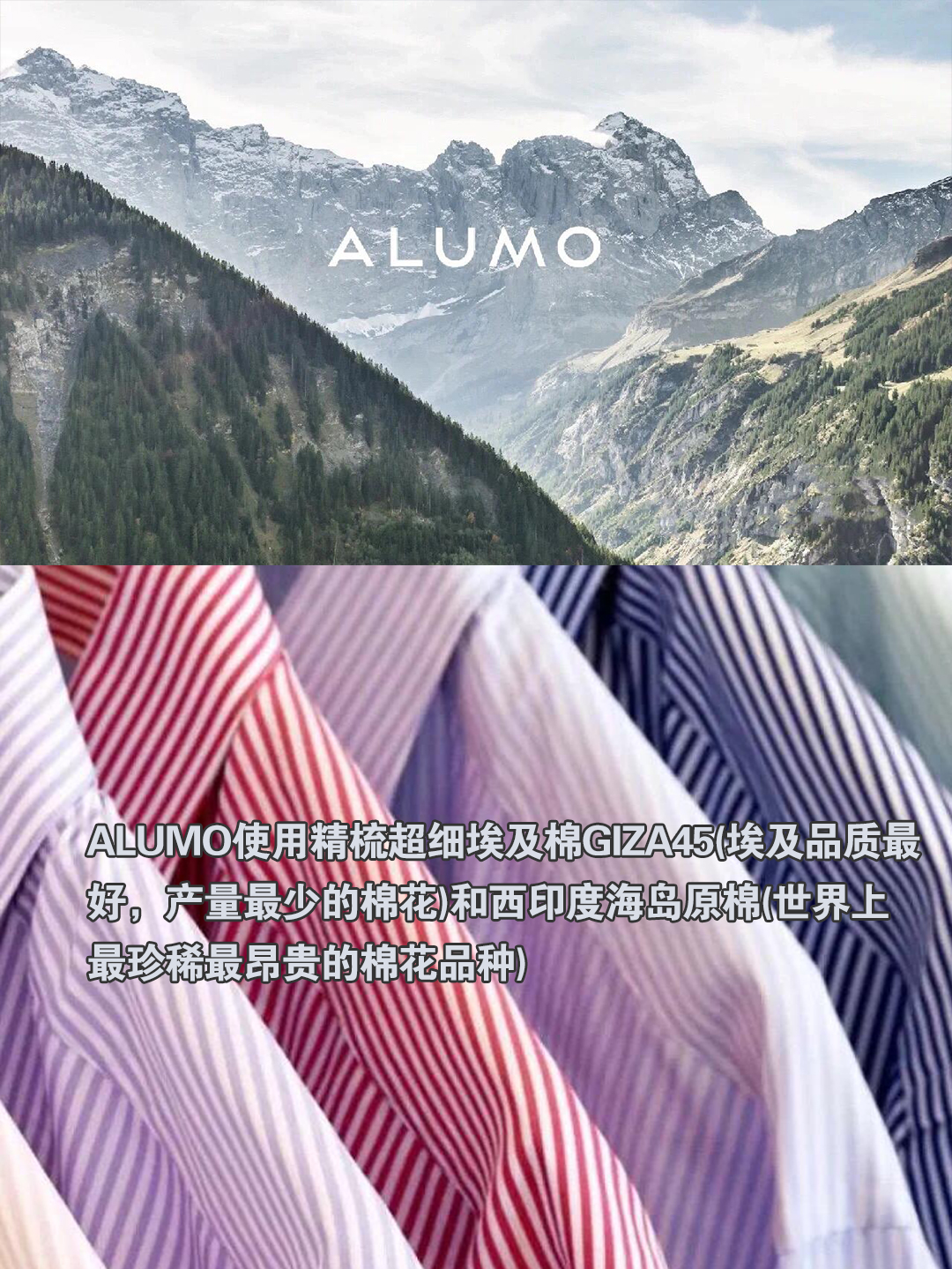 世界頂級襯衫面料之一瑞士ALUMO_1_葡京洋服-主理人_來自小紅書網頁版.jpg